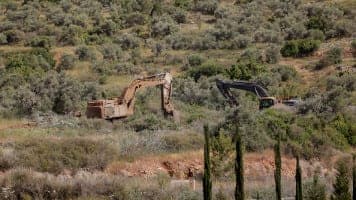 Israel is once again bulldozing vital Palestinian olive trees in the West Bank